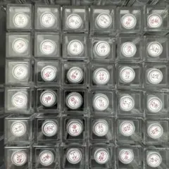 Item thumbnail for item 21ba6314-29a2-479c-868e-2707f0354744