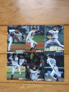 2026年最新】プロ野球チップス 鳥谷敬の人気アイテム - メルカリ