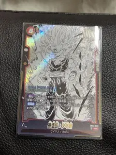 SB02-008 sr 孫悟飯