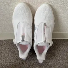 Item thumbnail for item e01bda44-f2e4-4c69-ae73-32ccb7cc3a5e