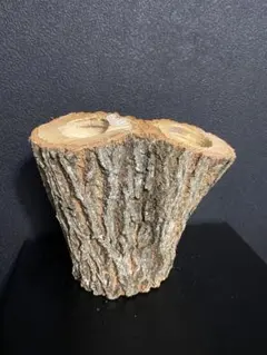 Item thumbnail for item ed447434-a920-473d-9d05-252079459ac7