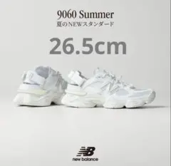 BEAUTY&YOUTH 限定 New Balance 9060 Summer - メルカリ