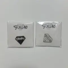 SEVENTEEN FOLLOW TO JAPAN ピンバッジ　2個セット