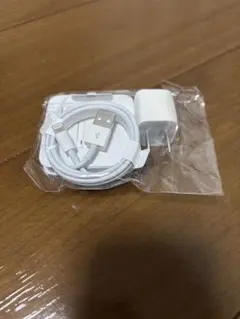 Apple Lightning充電ケーブルACアダプタ 有線イヤホン 3点セット