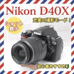 ⭐️良品⭐️Nikon D40 18-55mm VR☆ショット数20788☆ - メルカリ
