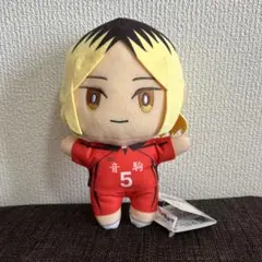ハイキュー!! 孤爪研磨／ぬいぐるみマスコット・缶バッジ セガラッキーくじ ハイキュー!! セガラッキーくじ 孤爪研磨 - メルカリ