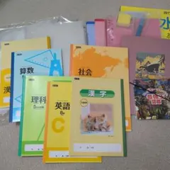 Item thumbnail for item 255b2fe5-593a-479e-a4d5-5aeeca36a309