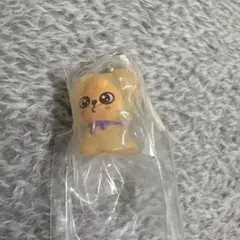 SKZOO ガチャめじるしアクセサリー パピーム poppy.M スンミン①