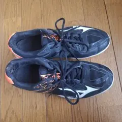 Item thumbnail for item 477a5dae-5120-4fd8-831e-01ad5ef6e96e