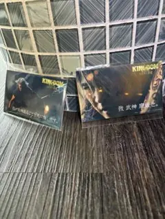 KINGDOM トレーディングカード 2枚セット