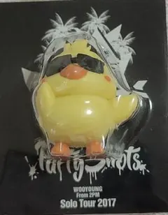 2PM ウヨン・ピヨン コンサートグッズ22点セット　バラ売り不可　匿名配送 2PM ウヨン・ピヨン コンサートグッズ22点セット バラ売り不可