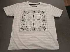 【中古・終売品】graniph(グラニフ) ビューティフルシャドー Ｔシャツのサムネイル