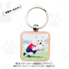 Item thumbnail for item f0c4ce91-99e1-4dfb-a91a-8ba38b1acffb