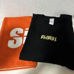 2026年最新】シンガーズハイ tシャツの人気アイテム - メルカリ