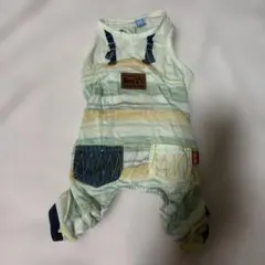 Item thumbnail for item 85f075f2-9a5c-41d4-bf81-87d31ed84b1f