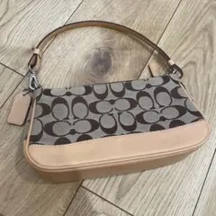 COACH シグネチャー アクセサリーポーチ ワンショルダー Y2K6094