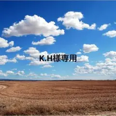 K.H様専用　3点セット