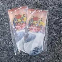 ポケモンセンター出張所(盛岡) 購入特典 扇子のサムネイル