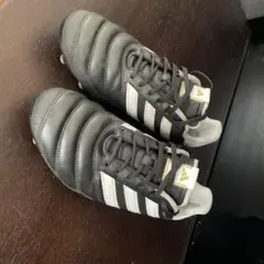 Item thumbnail for item 13686375-15b9-437a-a94c-7b90aafc698c