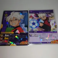 井吹宗正 TCG イナイレ イナズマイレブンGO イナズマレア イナズマイレブンGO TCG 井吹宗正 - メルカリ
