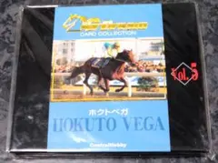 ★希少★　G・Dream　ジードリーム　トレカ　馬　ホクトベガ　カード10枚入り