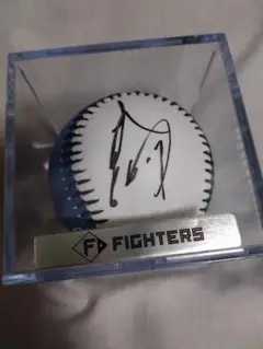 伊藤大海直筆 サイン入りボール ケース付き 伊藤大海直筆 サイン入りボール ケース付き