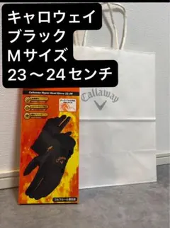 Item thumbnail for item c5365d37-8e4d-4022-aff6-2256c0572b81