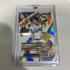 マグネットローダー（サイズ確認用カード付き）