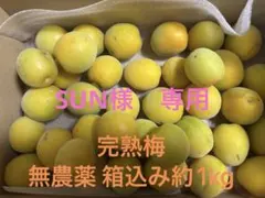 Mrs. GREEN APPLE Wonder Museum トートバッグ - メルカリ