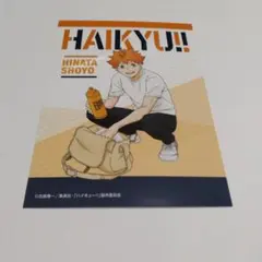 ハイキュー !! エンスカイ 限定 ピクチャーズコレクション 日向翔陽