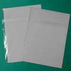 阪口珠美 乃木坂46 1st写真集 青いバラ showroom限定ポスター 2枚