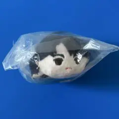 未使用　 ユーリ!!! on ICE ズンギル　もちもちマスコット