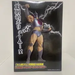 キン肉マン リアルフィギュア ロビンマスク