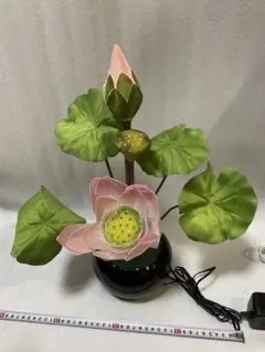 Item thumbnail for item ca2a84af-f8b1-46cb-8bc3-ee31a623c255