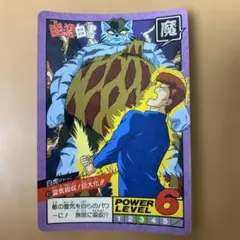 幽遊白書 幽⭐︎遊⭐︎白⭐︎書 カードダス アニメ30周年記念 36 白虎