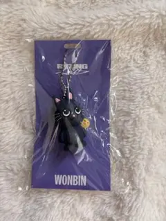 RIIZE 中国 上海 ポップアップ キーホルダー ウォンビン トニャンドク