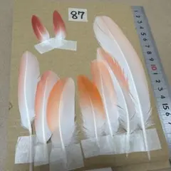 フラミンゴ 羽根 ハンドメイド用 素材 9本セットのサムネイル