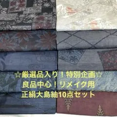 彦兵衛mini】☆特別企画☆お買得！良品中心正絹大島紬10点セット0529-4