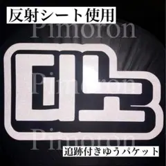 SEVENTEEN セブチ ディノ 反射 うちわ文字 ハングル ネームボード