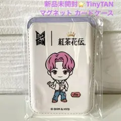 新品未開封⭐️紅茶花伝 BTS タイニータン jin　マグネットケース 防弾少年団のサムネイル