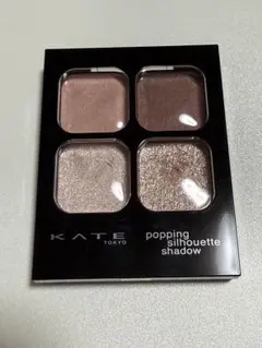 ケイト ポッピングシルエットシャドウ ロージーポップ アイシャドウ RD-1