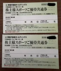 スキー場 リフト券 割引券×3枚■ハンターマウンテン塩原 ニセコ東急グランヒラフ