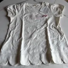 Item thumbnail for item 18d5f6ad-376a-48f7-a541-fb7e4be1bc19