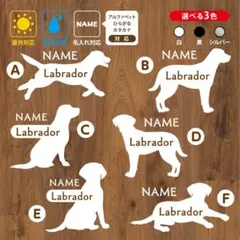 Item thumbnail for item 23eb34f1-7ab3-4232-81b6-a7f41304e14c