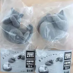 Item thumbnail for item 92235293-daf4-48f7-bc54-d08925d69967