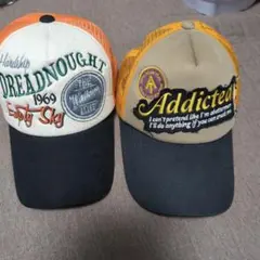 Item thumbnail for item 8e240296-fc5a-454b-a48c-3d6a66aec074