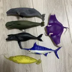 アンドコ
