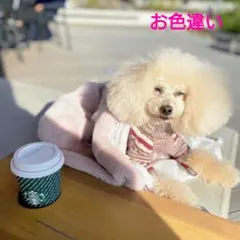 Item thumbnail for item 4989a744-568a-44de-8303-641013c04cbf