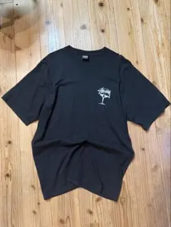 Stussy ブラック Tシャツ　ステューシー　ロゴ　M ストリート　1点物‼️