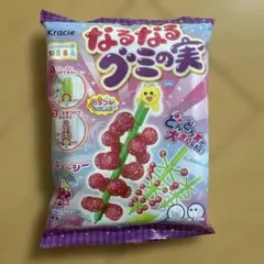 【廃盤品】　Kracie なるなるグミの実 知育菓子